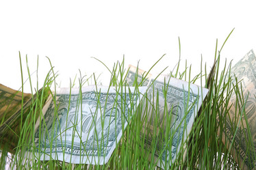 Similar image 1187119