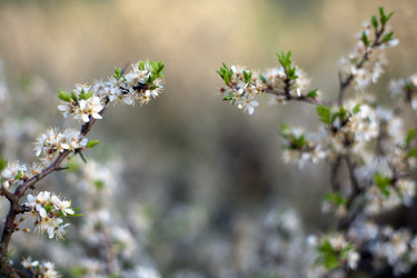 Similar image 1187128