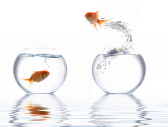 Similar image 1187132