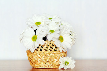 Similar image 1187138