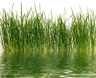 Similar image 1187140