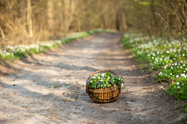 Similar image 1187148