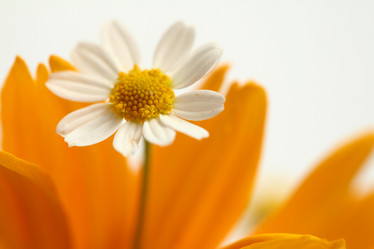 Similar image 1187162