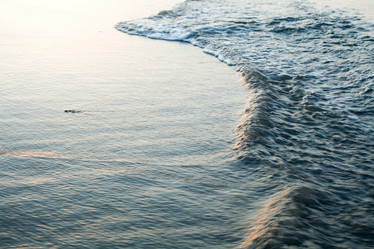 Similar image 1187169