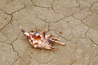 Similar image 1187170