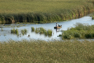 Similar image 1187175