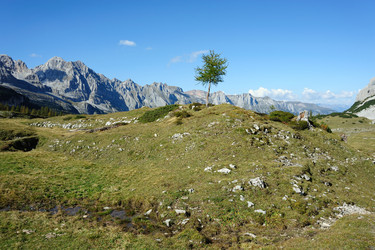 Similar image 1187184