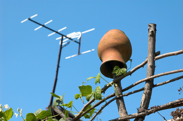 Similar image 1187201