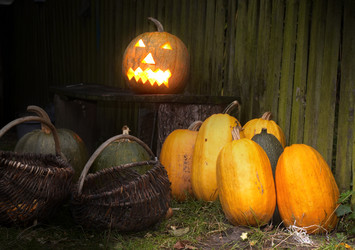 Similar image 1187202