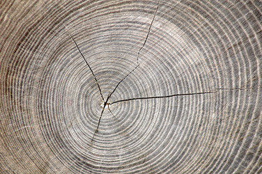 Similar image 1187208