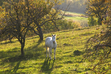 Similar image 1187214