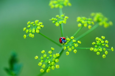 Similar image 1187217