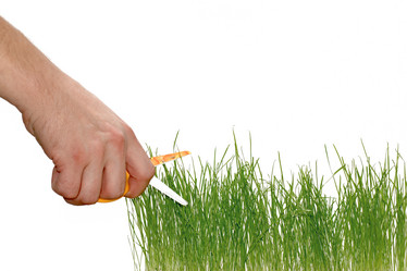 Similar image 1187256