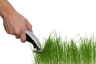 Similar image 1187257