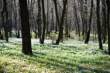 Similar image 1187259