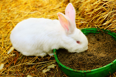 Similar image 1187282