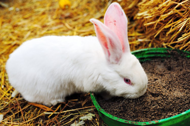 Similar image 1187296