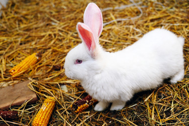 Similar image 1187297