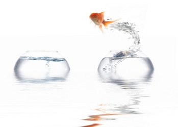 Similar image 1187317