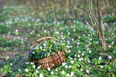 Similar image 1187322