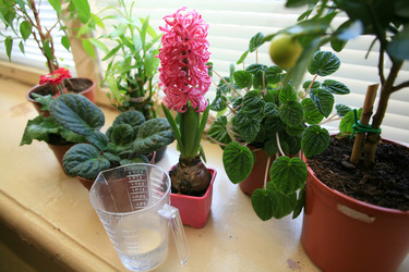 Similar image 1187341