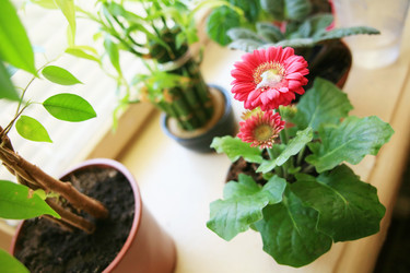 Similar image 1187348