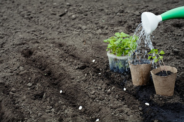 Similar image 1187354