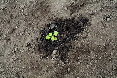 Similar image 1187356