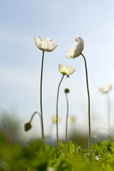 Similar image 1187378