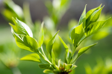 Similar image 1187383