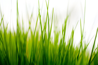 Similar image 1187384