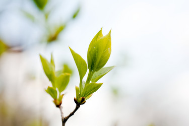 Similar image 1187386