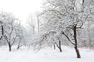 Similar image 1187394