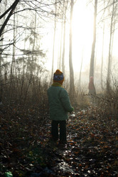 Similar image 1187399