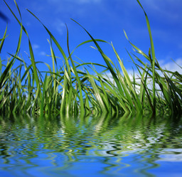 Similar image 1187402