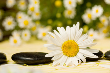 Similar image 1187415