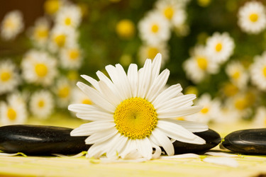 Similar image 1187416