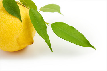 Similar image 1187440