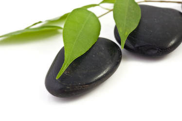 Similar image 1187442