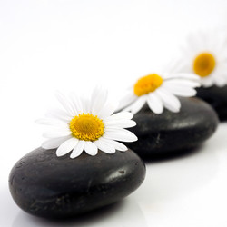 Similar image 1187443