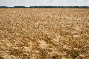 Similar image 1187472