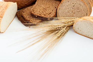 Similar image 1187474