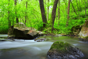 Similar image 1187479