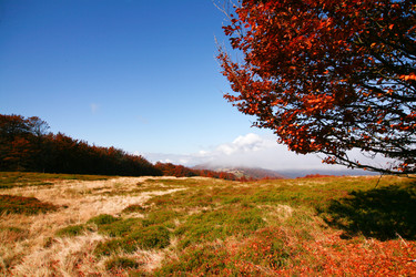 Similar image 1187483