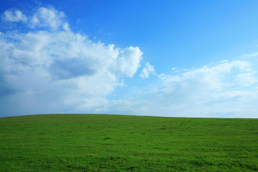 Similar image 1187484