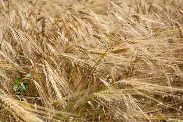 Similar image 1187485