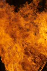 Similar image 1187501