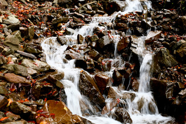 Similar image 1187511