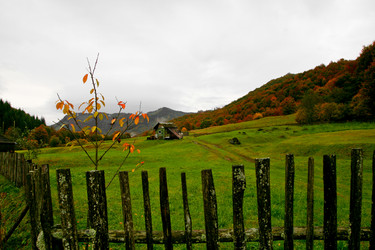 Similar image 1187513