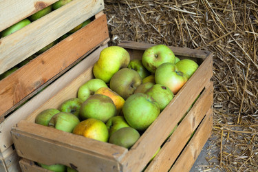 Similar image 1187515